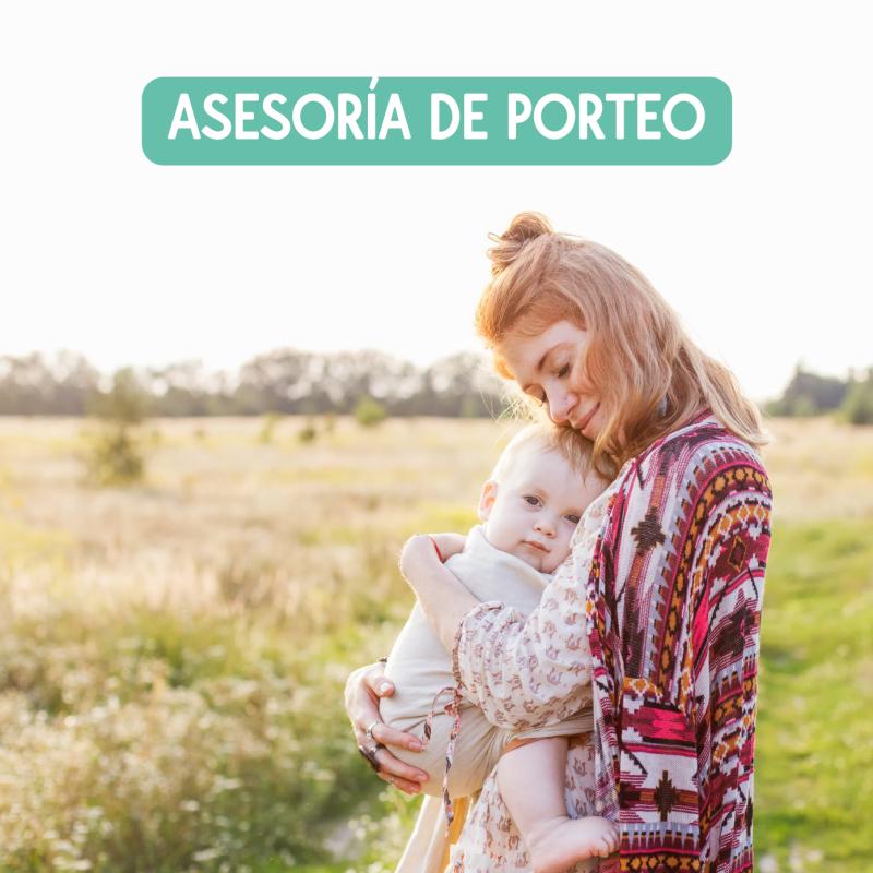 Asesoría de porteo