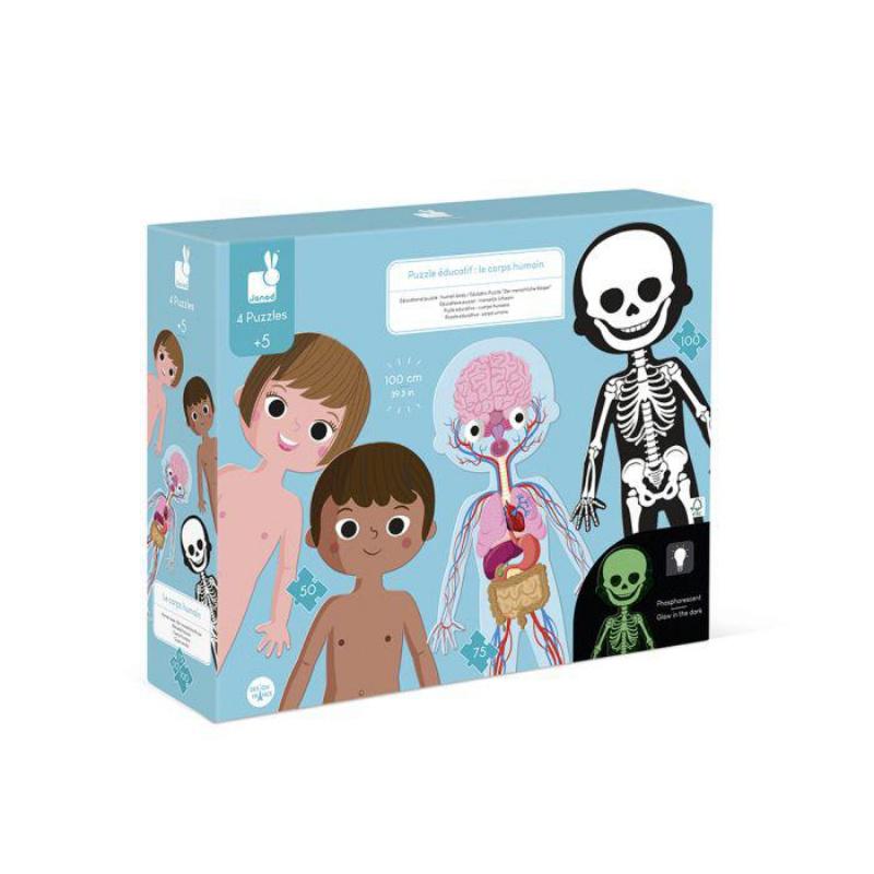 Puzzle educativo del Cuerpo humano